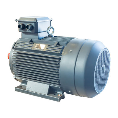 AC الحث المحرك متغير التردد 3 المرحلة 11kw 15kw 18.5kw 22kw 30kw 37kw