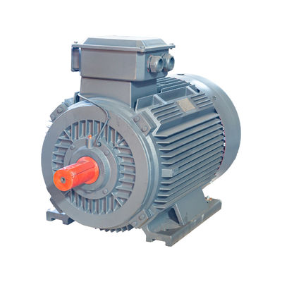 AC 2 Pole 3 Phase Induction Motor IP55 محرك كهربائي 15 حصان جهد منخفض