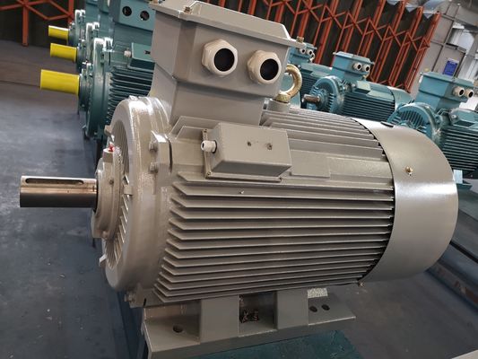 6kv 10kv متوسط ​​الجهد السنجاب قفص التعريفي المحرك ثلاث مراحل العاكس